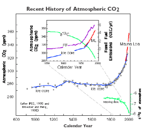 CO2 history